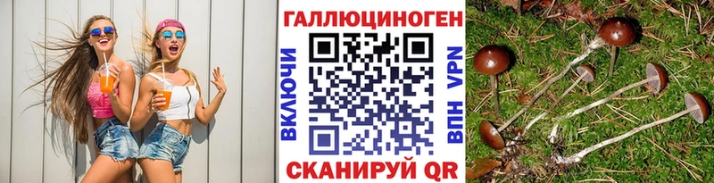 дарнет шоп  Сальск  Псилоцибиновые грибы прущие грибы 